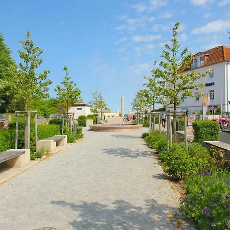 Rhododendronbluete In Lejlighed